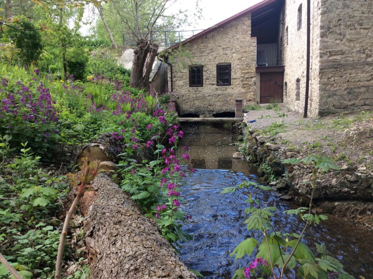 Villa Wisniowy Mlyn Wisniowa k Staszowa Esterno foto