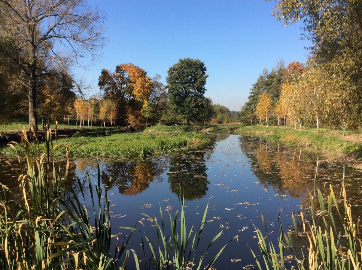 Villa Wisniowy Mlyn Wisniowa k Staszowa Esterno foto