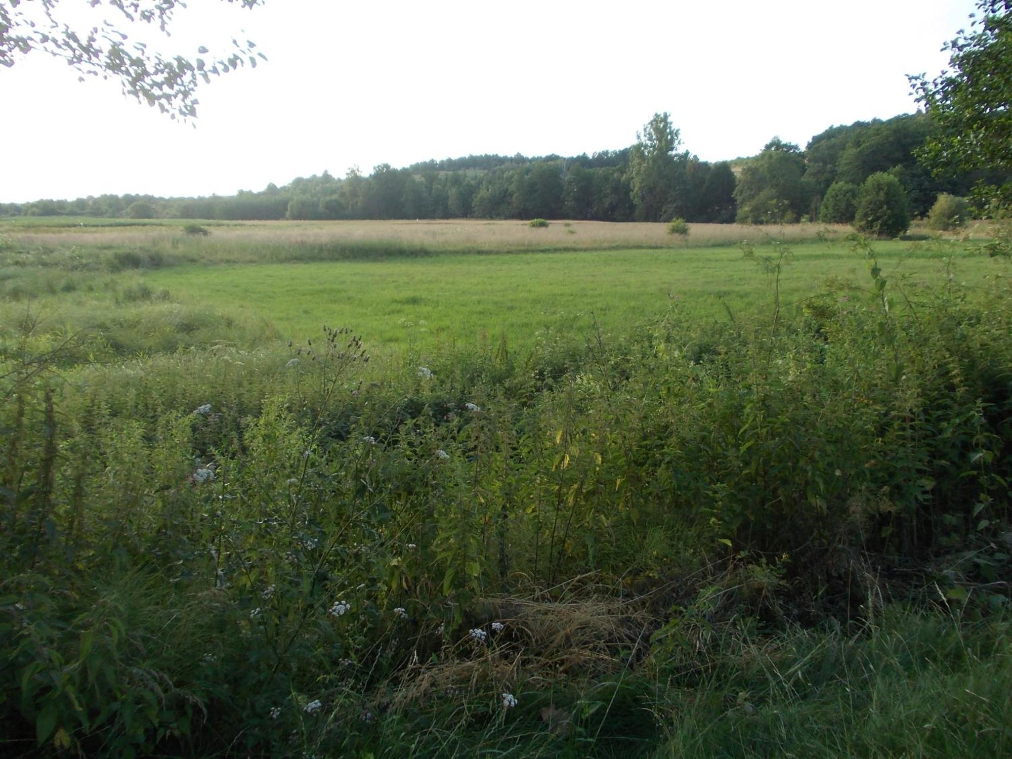 Villa Wisniowy Mlyn Wisniowa k Staszowa Esterno foto