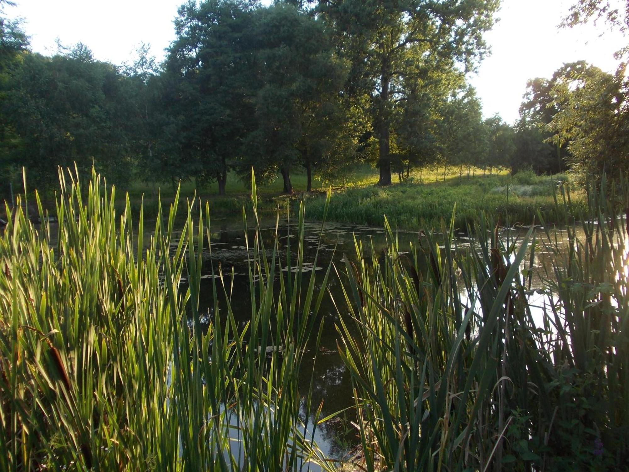 Villa Wisniowy Mlyn Wisniowa k Staszowa Esterno foto
